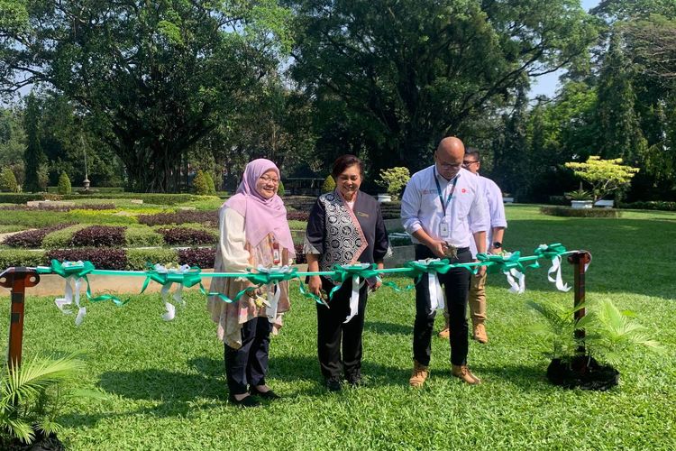 Wajah Baru Taman Soedjana Kassan di Kebun Raya Bogor, Dibuka untuk Umum